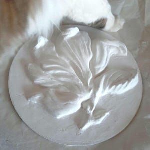 Three-dimensional picture Plaster picture flower Bas-relief Magnolia