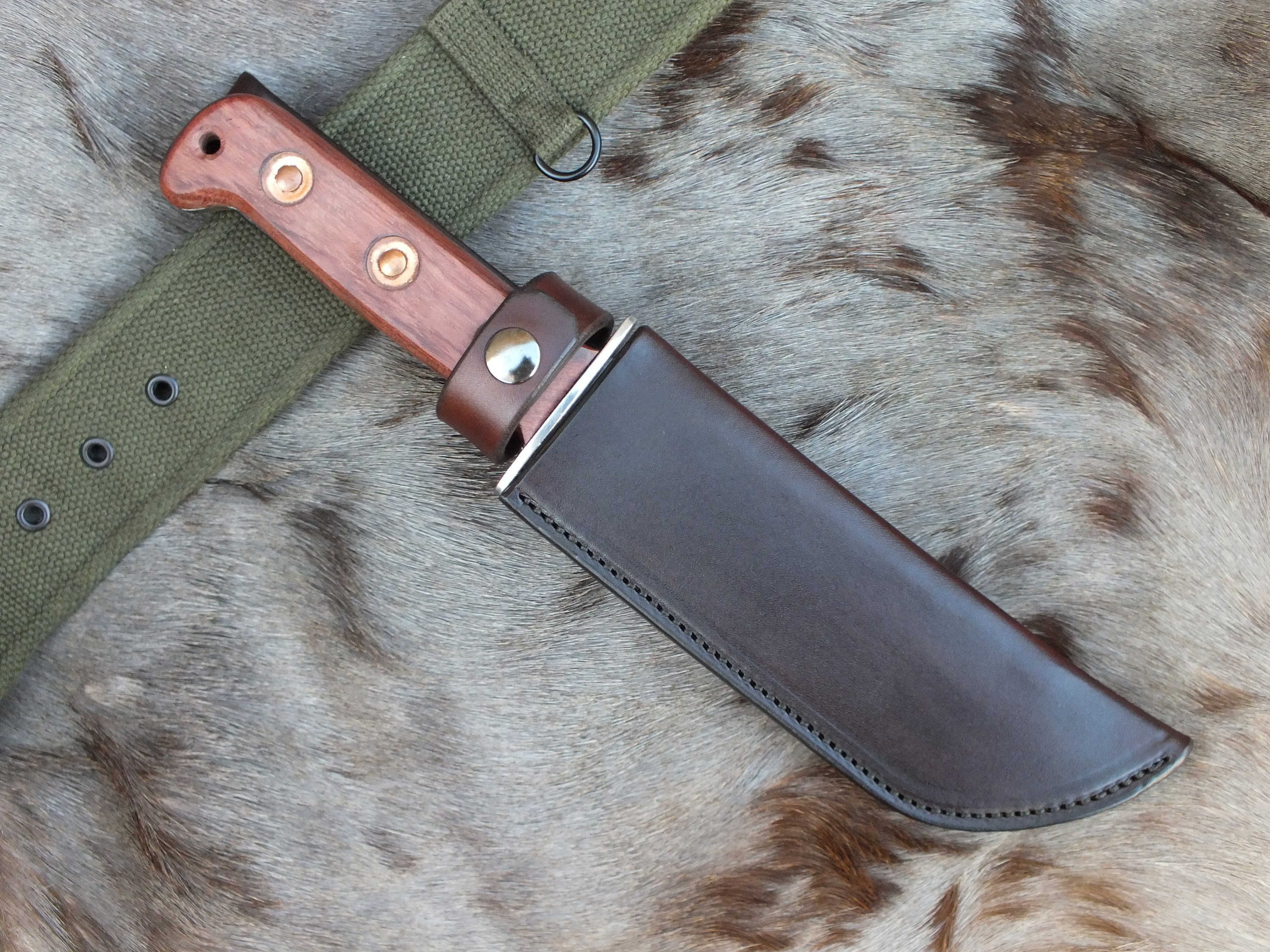 Made to Order. MOD Survival Knife Sheath Left or Right Side Etsy