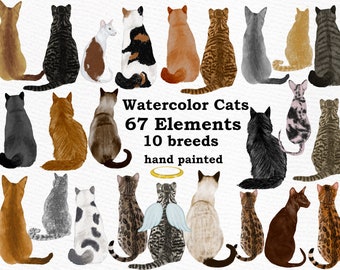 Cat Illustrations Etsy