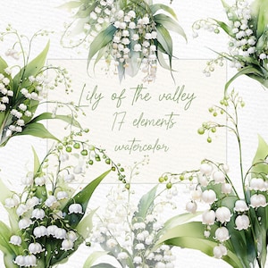 Lírio do Vale clipart: "SPRING FLORES CLIPART" Aquarela Lírio do Vale Png Arranjos florais Premade Clipart Flores Brancas
