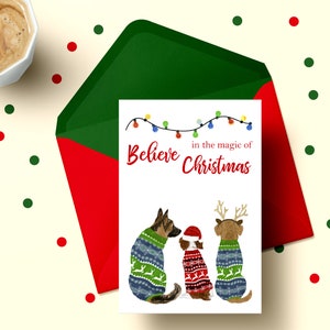 May include: Christmas card featuring three dogs wearing festive sweaters. The card has the text "Believe in the magic of Christmas" and a string of lights above the text.