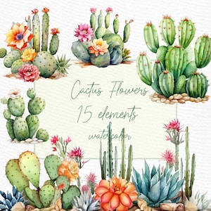 Clipart cactus aquarelle : « CACTUS CLIPART » Cactus en fleurs ensemble clipart plante du désert bordure de cactus PNG fleur du désert Png clipart Far west