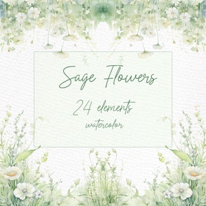 Sage Green Watercolor Flowers Clipart: Greenery Borders, Wreaths (PNG)