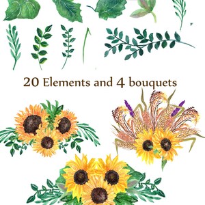 May include: Watercolor illustration of sunflowers and leaves. The illustration includes 20 individual elements and 4 bouquets of sunflowers. The sunflowers are yellow with brown centers and the leaves are green.