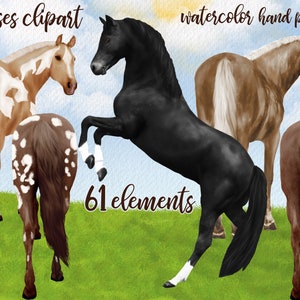 Aquarell Pferd Clipart: "HORSES CLIPART" Pferd züchtet Pferd Png Palomino Pferd Appaloosa Pferd Bauernhof Tiere Pferd Illustrationen Landschaft