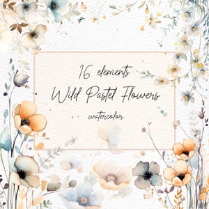 Clipart floral rose sauvage : « Fleurs de PRINTEMPS PNG » Aquarelle de fleurs fleurs neutres Png fleurs des prés Png bordures florales Png clipart premade