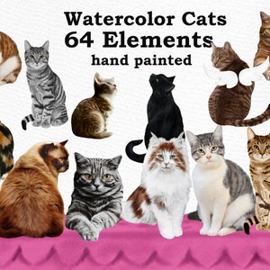 Katzen Clipart: "AQUARELL KATZEN" Katzenrassen Katzenrassen Katzen Clipart Katze für Tasse Katze Grafik Katzen Bündel Katzen Illustrationen Katzenliebhaber Geschenk