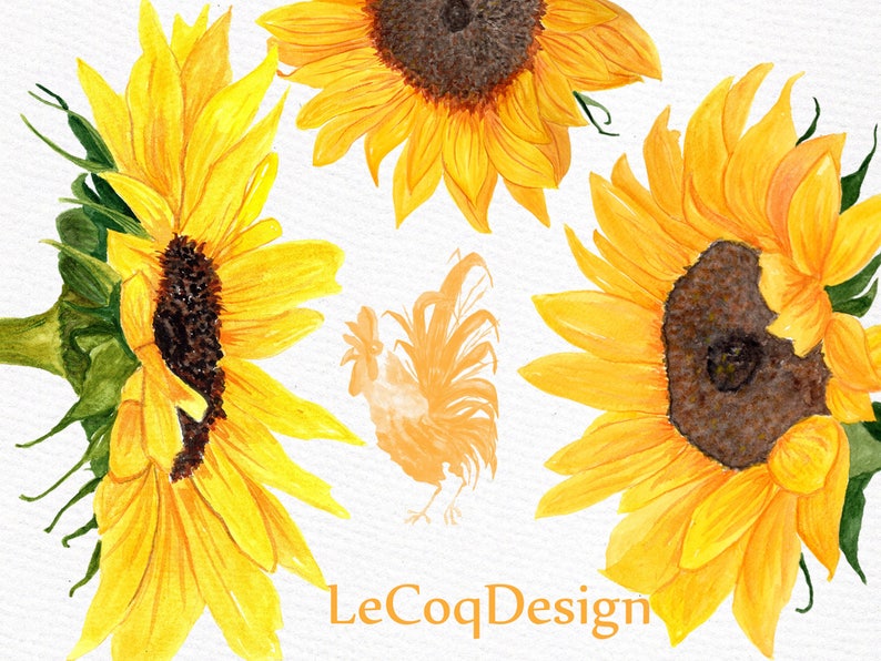 K&ouml;nnte beinhalten: Aquarellmalerei von drei gelben Sonnenblumen mit braunen Zentren und einem Hahn in der Mitte. Die Sonnenblumen haben gr&uuml;ne Stiele und Bl&auml;tter. Der Hahn ist orange und wei&szlig;. Der Hintergrund ist wei&szlig;.