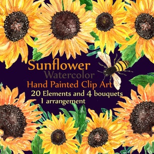 May include: Watercolor illustration of sunflowers in various stages of bloom, with a bee flying near the center. The text "Sunflower Watercolor Hand Painted Clip Art 20 Elements and 4 bouquets 1 arrangement" is displayed below the flowers.