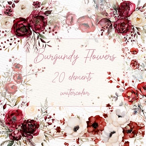 Clipart fleurs bordeaux : « Fleurs de pivoine Bordeaux » Bouquets bordeaux Graphismes de mariage Fleurs aquarelles Pivoine bordeaux Png