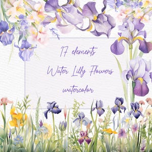 Akwarela Fioletowe Kwiaty Clipart: "IRIS FLOWERS CLIPART" Gałęzie Irysa Png Ramki Kwiatowe Irysa Obramowania Irysa Png Gotowe Wieńce Clipart