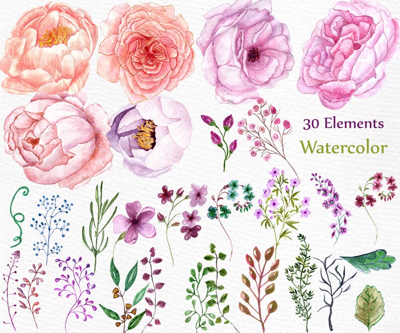 WEDDING CLIPART floral clipart DIY clipart wedding invitations separate flowers handpainted flowers Watercolor peonies flowers clipart