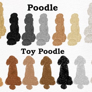 May include: Illustration of a row of 8 poodle dogs in various colors, followed by a row of 8 toy poodle dogs in various colors. The text "Poodle" is above the first row and "Toy Poodle" is above the second row.