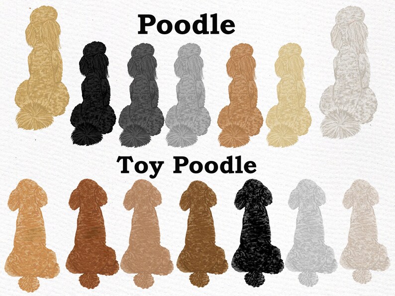 May include: Illustration of a row of 8 poodle dogs in various colors, followed by a row of 8 toy poodle dogs in various colors. The text "Poodle" is above the first row and "Toy Poodle" is above the second row.