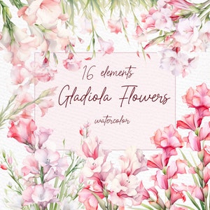 Aquarell rosa Blumen Clipart: „Aquarell rosa Blumen“ Gladiolen Blumen Clipart Blumenkränze Png vorgefertigte Clipart Gladiolen Blumen