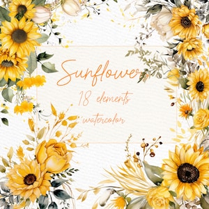 Clipart di girasoli: "GIRASOLI ACQUERELLO PNG" Mazzi di fiori di girasole Cornici di girasoli Clipart estate Clipart preconfezionata Girasole bordo Png