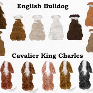 May include: Illustration of English Bulldogs and Cavalier King Charles Spaniels in various colors, sitting with their backs to the viewer. The dogs are all facing the same direction, with their tails tucked between their legs.