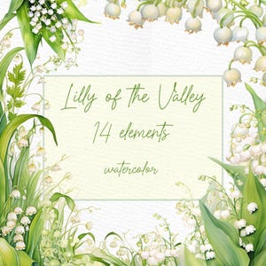 Clipart muguet : « FLORAL BORDERS CLIPART » aquarelle muguet Png arrangements floraux Premade Clipart fleurs blanches