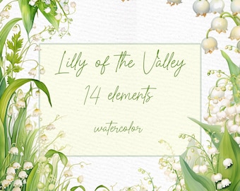 Può includere: Illustrazione ad acquerello di fiori di mughetto con foglie verdi e fiori bianchi a forma di campana. L'immagine include il testo "Lilly of the Valley 14 elements watercolor". Il design floreale è su uno sfondo bianco strutturato.