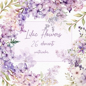 Acuarela Flores Lilas Clipart: "CLIPART DE FLORES PÚRPURAS" Ramas Lilas Png Marcos Florales Lilas Bordes Lilas Png Coronas Prefabricadas Clipart