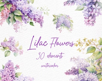 May include: Watercolor illustration of lilac flowers in various arrangements. The image includes 30 elements and the text "Lilac Flowers 30 elements watercolor".