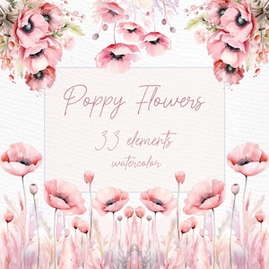 Aquarela Papoula Clipart: "POPPY FLOWER PNG" Buquê De Papoula Guirlanda De Papoula Convites De Casamento Bordas Florais Png Clipart Pré-fabricado Blush poppy