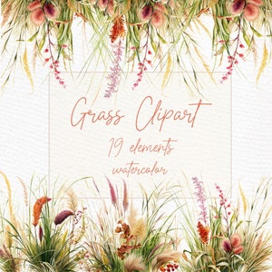 Clipart erba: "BOHO PAMPAS GRASS" Fiori ad acquerello Fiori botanici Boho Flowers Papmpas Bouquets Png Premade Clipart