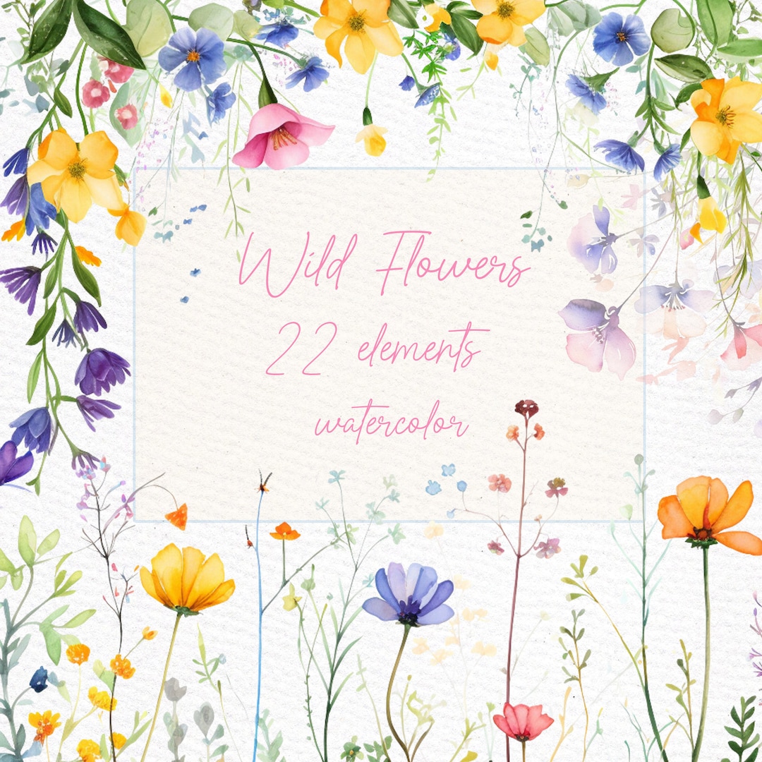Watercolor Spring Flowers Clipart: Wild Meadow Floral PNG (22 Elements ...