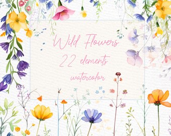 Watercolor Spring Flowers Clipart: Wild Meadow Floral PNG (22 Elements)