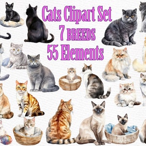 Clipart de chat : « CHATS AQUARELLE » Races de chat Clipart pour animaux de compagnie Chaton clipart Chat pour tasse Graphiques de chat Chat Bundle Chat Illustrations Cadeau d'amoureux de chat