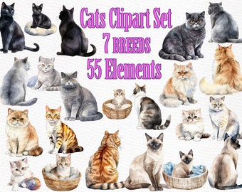 May include: Watercolor clipart set featuring various cat breeds in different poses. The image includes 55 elements and 7 breeds, with text that reads "Cats Clipart Set". The cats are depicted in a variety of colors, including black, gray, orange, and white.