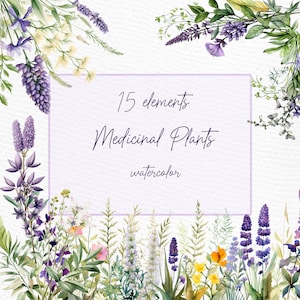 Clipart floreale selvaggio: "FIORI PRESSATI A SECCO" Erbe mediche Png Fiori ad acquerello Inviti di nozze Campo Prato Fiori Png Clipart preconfezionate