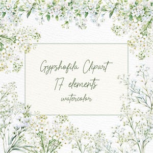 Clipart fleurs de gypsophile : « Fleurs blanches aquarelle » fleurs rustiques clipart botanique bordures florales Premade Clipart Couronne de fleurs sauvages