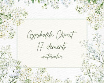 May include: Watercolor clipart featuring 17 white gypsophila flower elements. The flowers are arranged in a border around a white rectangle with the text "Gypsophila Clipart 17 elements watercolor".