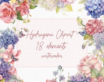 Clipart aquarel hortensia: bloemenboeketten en randen (PNG)