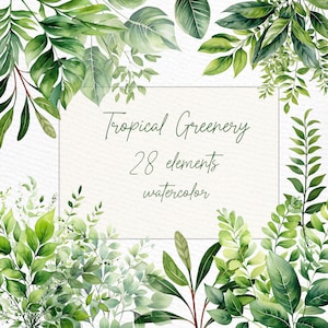 Tropisches Grün Clipart: "WASSERFARBE GRÜN CLIPART" Tropische Hochzeit Clipart Tropische Blätter Monstera Clipart Tropische Rahmen Clipart