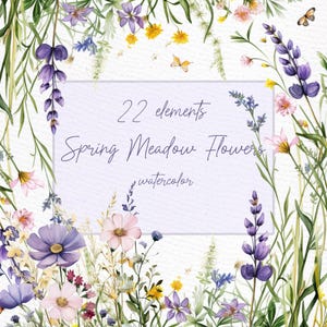 Clipart floreale selvaggio: "FIORI PRESSATI A SECCO" Erbe mediche Png Fiori ad acquerello Inviti di nozze Campo Prato Fiori Png Clipart preconfezionate