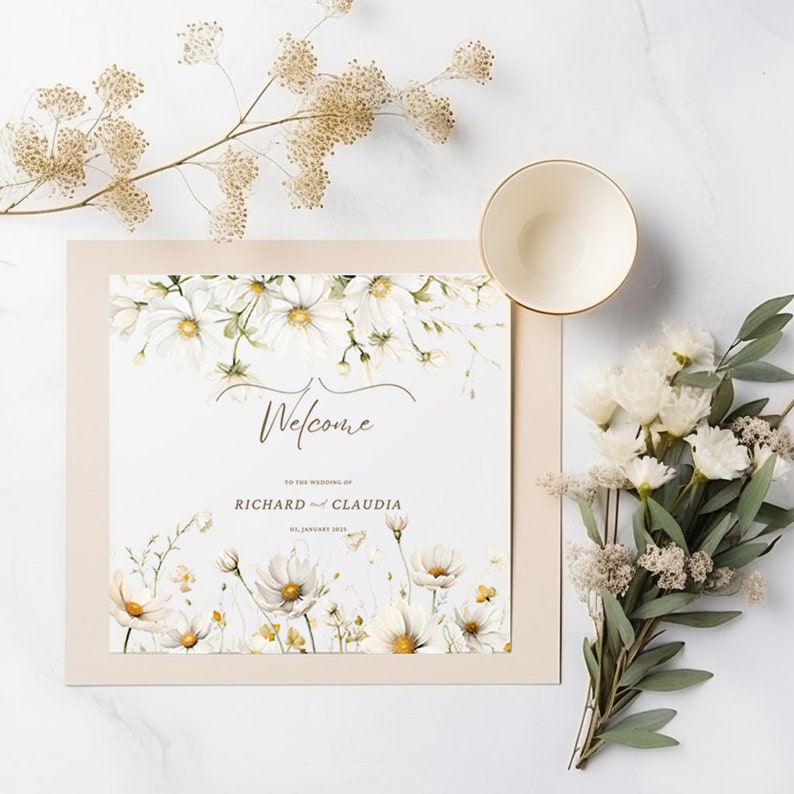 Watercolor Daisy Clipart: White Flowers, Floral Borders (PNG) image 4