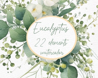 May include: Watercolor illustration of eucalyptus leaves and flowers in shades of green and white. The image includes the text "Eucalyptus 22 elements watercolor".