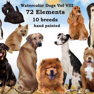 Hunde Clipart: "AQUARELL HUNDE" Hunderassen Haustier Clipart Welpen Clipart Hund für Tasse Hund Grafik Hund Bundle Hunde Illustrationen Hundeliebhaber Geschenk