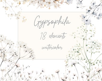 Imágenes Prediseñadas de flores de Gypsophilia: "FLORES BLANCAS DE ACUARELA" Flores rústicas Imágenes prediseñadas botánicas Bordes florales Imágenes prediseñadas prefabricadas Corona de flores silvestres