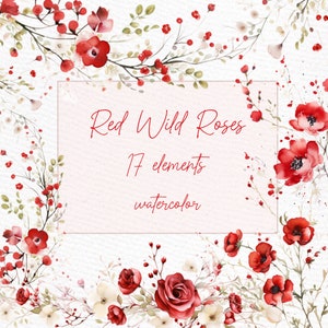 Clipart De Rosas Selvagens Vermelhas: "WARECOLOR ROSES CLIPART" Dusty Wild Rose Floral Clipart