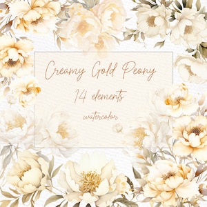 Beige-goldene Pfingstrosen-Clipart: „WATERCOLOR CREAM PEONY“ Gold-Pfingstrosen-Clipart Rustikale Beige-Blumen-Blumenränder Vorgefertigte Clipart-Hochzeits-Clipart