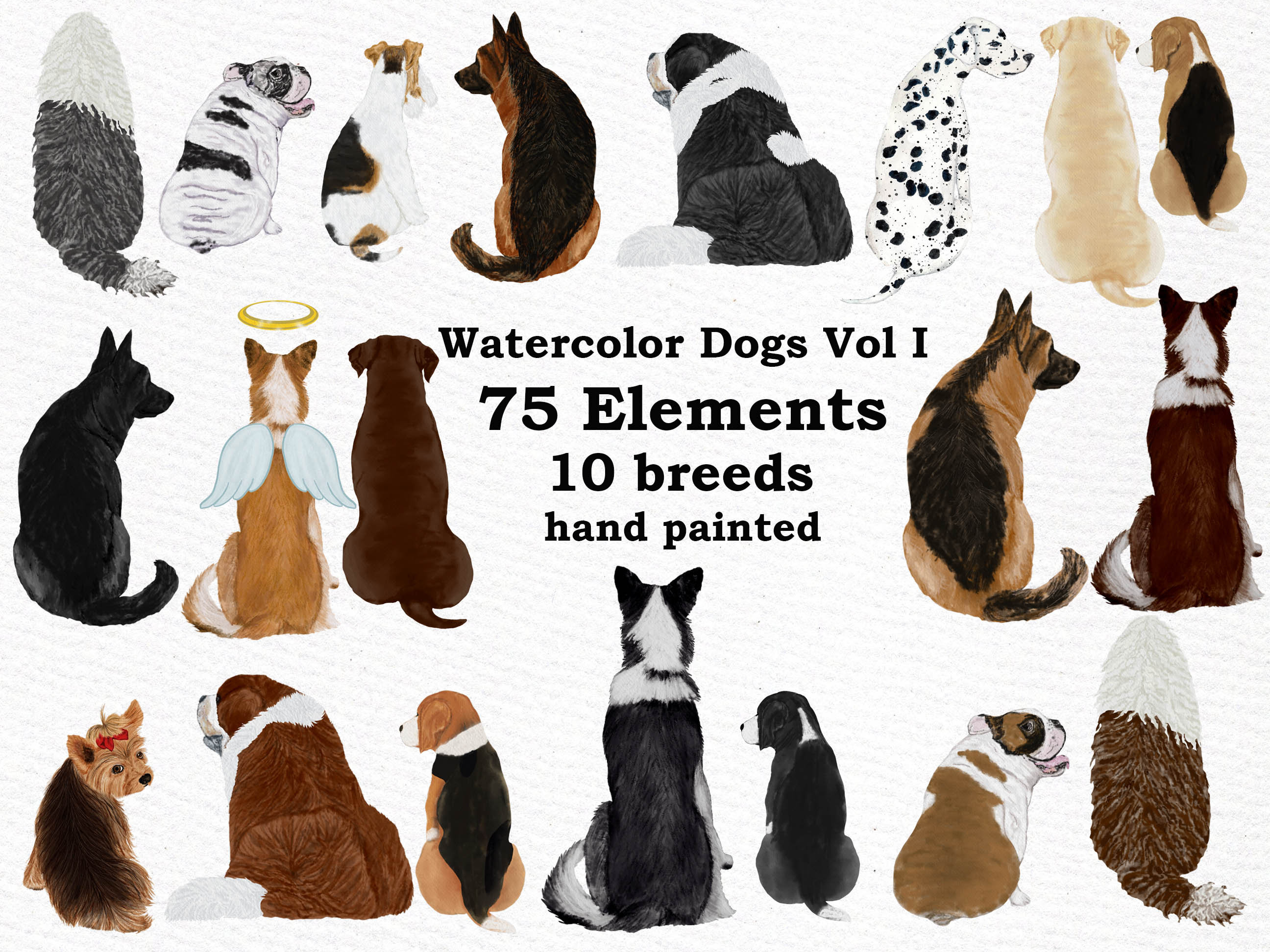 Watercolor Dog Clipart Bundle: 75 PNG Files, 10 Breeds (digital ...