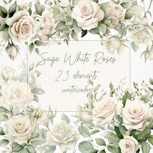 Weiße Rosen Clipart: "WATERCOLOR ROSES CLIPART" Dusty Rose Floral Clipart Beige Rose Blumen Borders Png Vorgefertigte Kränze Clipart Blush Roses