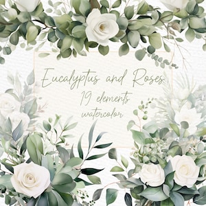 Eukalyptus Clipart: "WATERCOLOR ROSES CLIPART" Weiße Rose Blumen Clipart Eukalyptus und Rosen Vorgefertigte Kränze Clipart Hochzeit Rosen Png