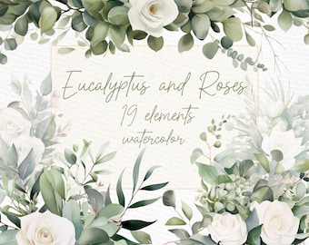 May include: Watercolour illustration of eucalyptus leaves and white roses. The image includes 19 elements and the text "Eucalyptus and Roses 19 elements watercolour".