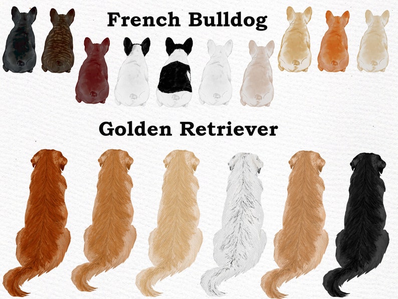 May include: A digital illustration of 10 dogs sitting in a row. The first 6 dogs are French Bulldogs in various colors, including black, brown, red, white, and tan. The last 4 dogs are Golden Retrievers in various colors, including brown, gold, white, and black.