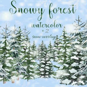 Winter Forest Clipart "FOREST CLIPART" Pini Albero di Natale Acquerello Foresta Paesaggio Conifere clipart Albero boschivo fai-da-me invito
