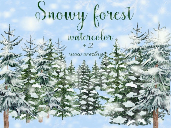 Winter Forest Clipart Forest Clipart Pine Trees Etsy